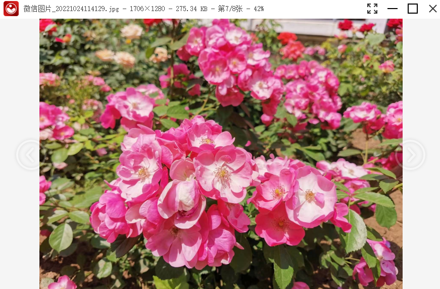 ���ۿ�ͼ��