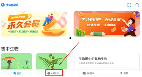 ������ѧ�ֻ���