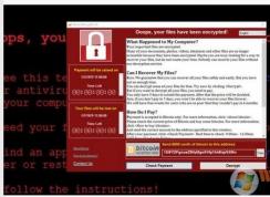 WannaCry���رҲ����������� ��ȫר��ע���������ϲ�������