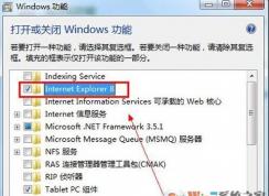 ie�������ôж�أ�ϵͳ�Դ�IE�����ж�ط���