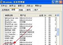 ppap.exe��ʲô������ɾ��ppap.exe�رշ���