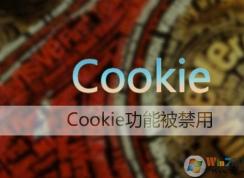 Win7 CookieҪ��ô������IE cookie���ò���