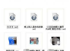 swf�ļ���ʲô�򿪣�����֪���ˣ�