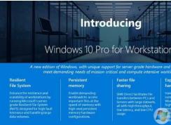 ΢������������Win10����վ��,Win10����վ���רҵ������