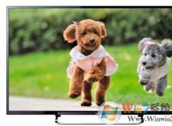 ���Ӻ͵���������ô���÷ֱ��ʣ�