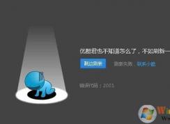 �ſ���Ƶ����2001�Ľ������