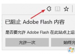 �������adobe flash�ڴ�վ��������֮���޷���edge���������ô�죿
