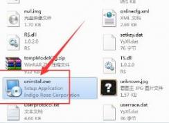 win10ϵͳ�޷�����ж��DNF���������ô�죿