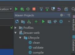 Intellij IDEA����Cannot Resolve Symbol XXX ��ȷ�������