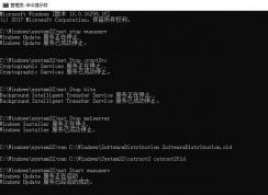 win10���ܸ��³���0x80d05001����ô�죿