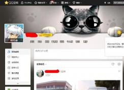 qq�ռ�򲻿�����ô���£�qq�ռ�򲻿� ����������������ѽ����