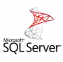 Microsoft SQL2000 SP4 ��ҵ��ٷ�������ɫ��