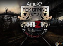 H1Z1�޷�������Ϸ��ʾ�������4-503�Ľ������ ����ʵ�ã�