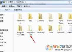 ֲ���ս��ʬ�浵����?ֲ���ս��ʬ�浵����λ��