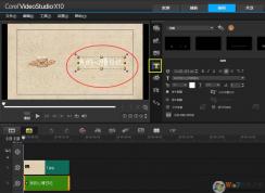 ��Ƶ����ͼƬ�ϵ�д�ֶ���Ч����ô������