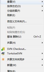 svn怎么用?svn使用教程(图文)