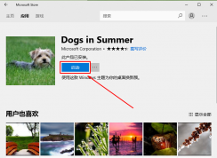 win10ϵͳӦ���̵����ص������޷������Ľ������