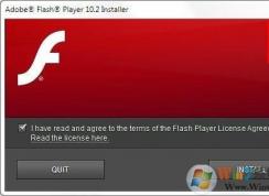 �����Falsh�޷�������Ƶ win10�������