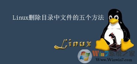 linux如何删除文件?linux删除文件夹的五个方法
