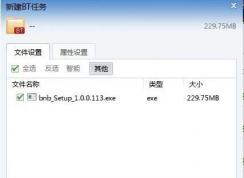 bt��ʲô��˼��bt������ʲô�ļ���