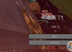 �ҵ���������������ָ��Ͳ�������