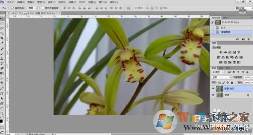 ps怎么去水印?ps去水印的三种方法