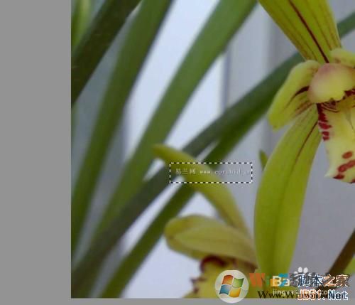 ps怎么去水印?ps去水印的三种方法