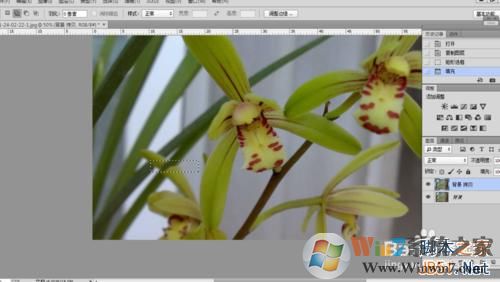 ps怎么去水印?ps去水印的三种方法