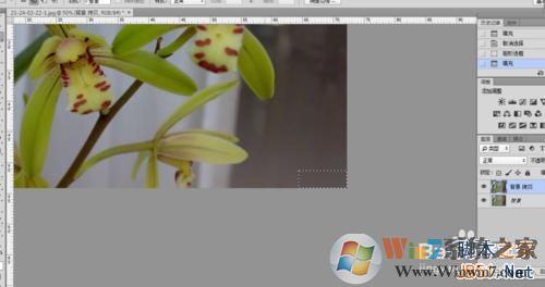 ps怎么去水印?ps去水印的三种方法