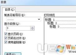 WPS�Զ�����Ŀ¼����