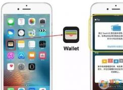 wallet��ô�ã�С�����walletƻ����ô��