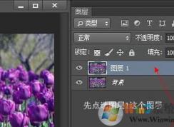 ͼ���ɰ���ô�ã�С�����ͼ���ɰ�ʹ�÷���