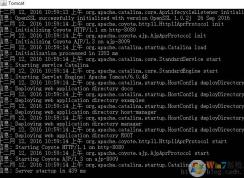 tomcat������������ͼ��