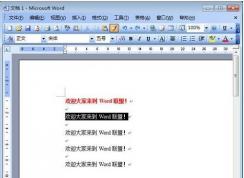 Word��ʽˢ��ݼ�+��ʽˢ��ô�÷���