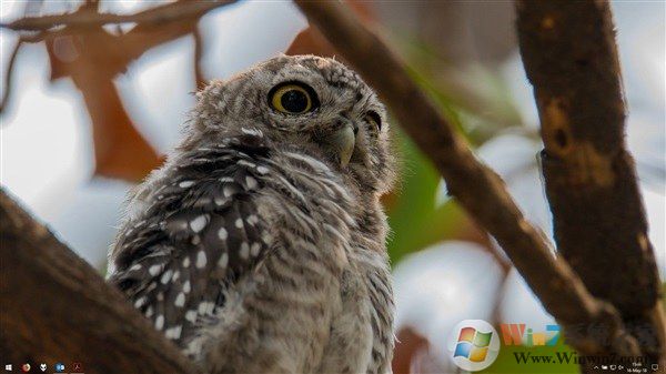 Win10 4月更新任务栏消失了 一键修复Win10 1803任务栏方法