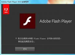Adobe Flash Player PPAPI��NPAPI ActiveX����ʲô����