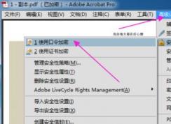 pdf��μ��ܣ�С��������pdf�ļ��ķ���