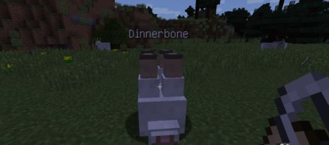 我的世界命名牌怎么用?教你我的世界命名牌的使用方法