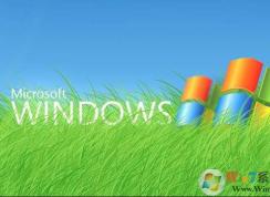 XPϵͳ��ô�鿴���кţ�