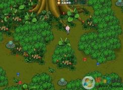 ɭ�ֵ�ͼ��ô�򿪣�������ʧɭ�ֵ�ͼ��ô�򿪣�