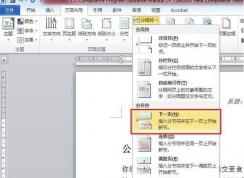 Word����ֽڷ�����