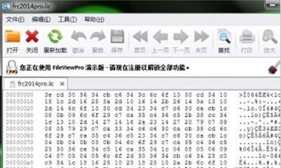 lic�ļ���ô�򿪣�lic��ʽ�ļ�������Ľ������