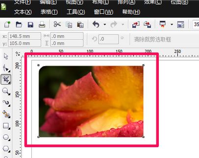 cdr裁剪工具怎么用?cdr软件中裁剪工具使用方法