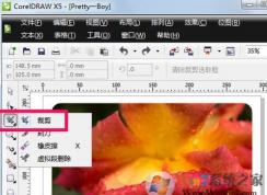 cdr�ü�������ô�ã�cdr�����вü�����ʹ�÷���