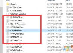 cookie��ô�ã�win7ϵͳcookie����ϸʹ�÷���