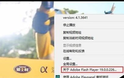 win10flash �汾���Ŀ���������flash�汾�ŵĲ鿴����