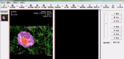 dcm�ļ���ô�򿪣�����.dcm��ʽ��δ򿪣�
