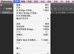 PS��ô�Ѷ���ͼƬ�ϲ���PDF�ļ���