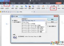 wps ���� ������ô���ã������wps������������Ĳ�������
