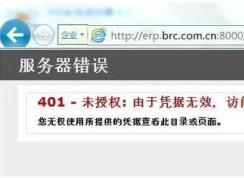 401δ��Ȩ:����ƾ����Ч,���ʱ��ܾ����ͼ�ģ�Win2008 IIS7.5��